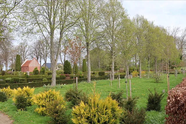 Paradislunden i Osted Kirkegård